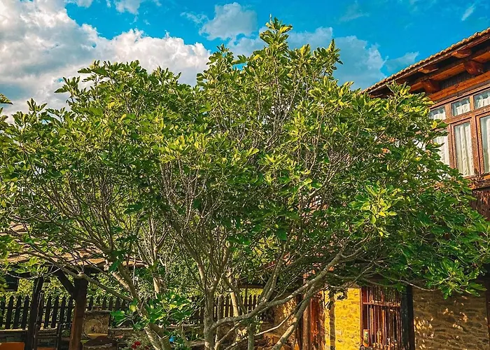 Hébergement de vacances кътче *